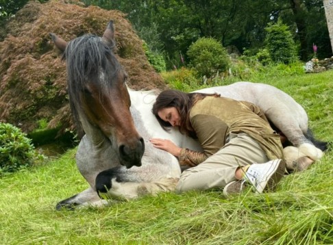 Meditate with Horses