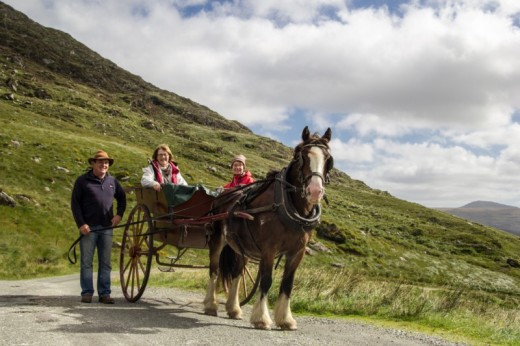 Killarney Jaunting Car Tour to Ross Castle