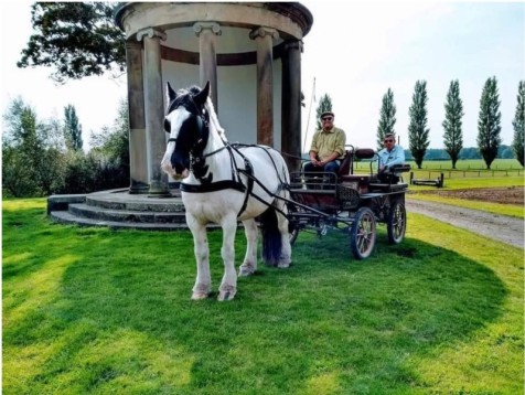 Horse drawn carriage ride with Prosecco and strawberries