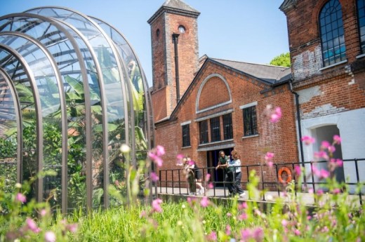 Bombay Sapphire Distillery: Guided Tour & Gin Cocktail