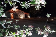 Buy a Night in Quinta da Cabrida & Traditional Portuguese Dinner