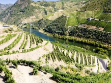 Douro River Cruise for Two