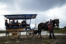 Killarney Jaunting Car Tour & Lake Cruise