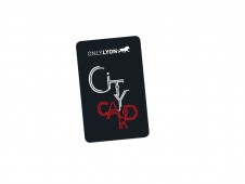 Lyon City Card 1 day (Adult)