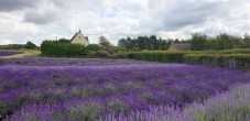 The Cotswolds with Lunch