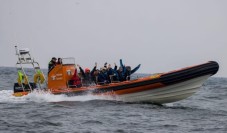 Guided Seal Safari by Boat- Adult