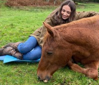 Meditate with Horses