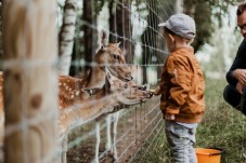 Family Day at the Zoo