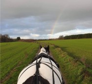 Horse drawn carriage ride with Prosecco and strawberries