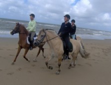 Countryside Horse Riding Trek in Wales