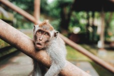 Family Day at the Zoo