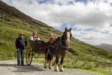 Gap of Dunloe Adventure & Lakes of Killarney Day Tour