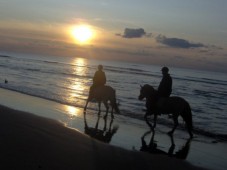 Countryside Horse Riding Trek in Wales