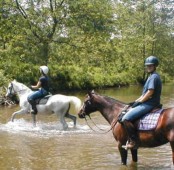 Countryside Horse Riding Trek in Wales