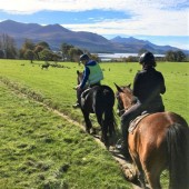 Horse Riding Tour in Killarney National Park