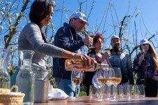 Mallorca: Exclusive Full-Day Winery Tour with Tastings - for Two