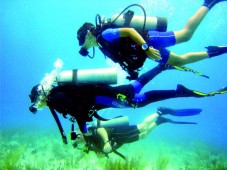 Sea Diving Experience in Lisbon