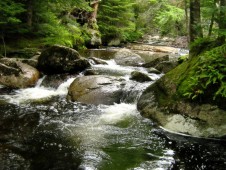 Bushcraft Weekend in Shropshire 