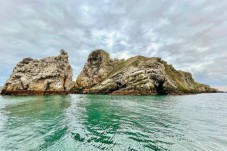 Dublin: Howth Coastal Boat Tour