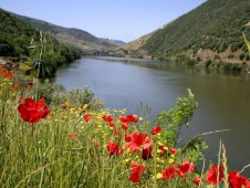 Douro River Cruise for Two