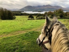 Horse Riding Tour in Killarney National Park