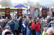 Enjoy a day at the races