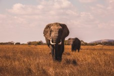 Family Safari in South Africa