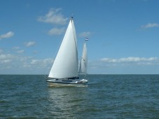 Three-Masted Sailing Experience from Muiden