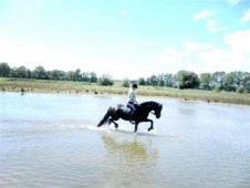 Countryside Horse Riding Trek in Wales