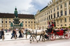 Vienna PASS with Travelcard for free attractions and free transportation