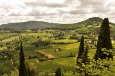 Chianti private tour from Florence