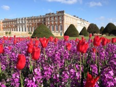 Hampton Court Palace and Gardens Entrance Ticket