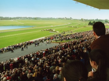 Horse Racing UK