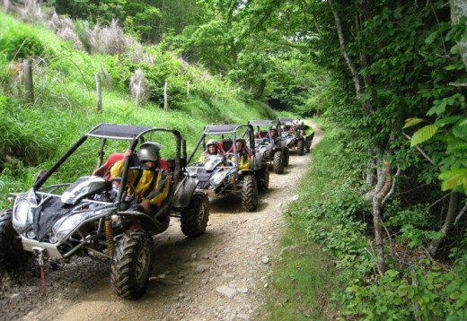 Buggies Driving