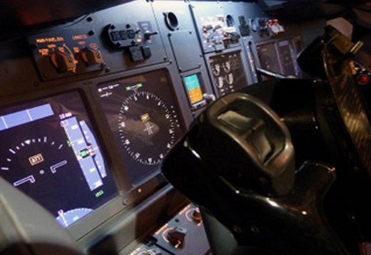 Flight Simulator Experiences