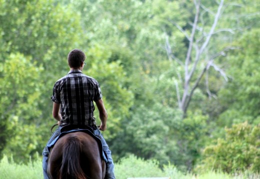 Horse Riding