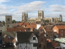 York City Tours