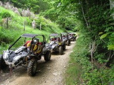 Buggies Driving