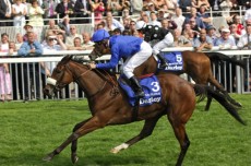 Racehorse Membership