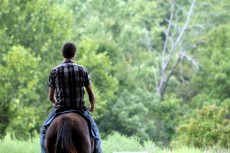 Horse Riding